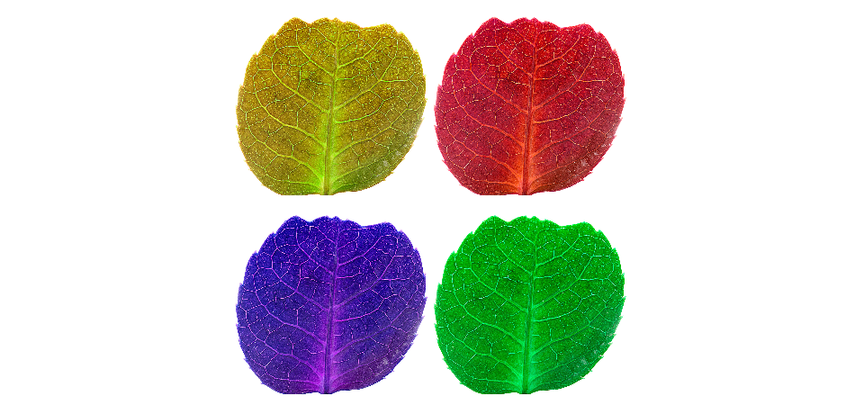 Đo chất lượng fluorescein và vật liệu fluorescein